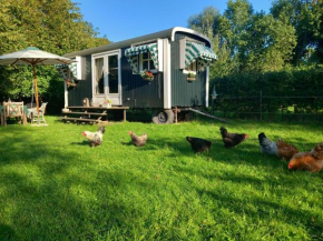 Home Bij Zee